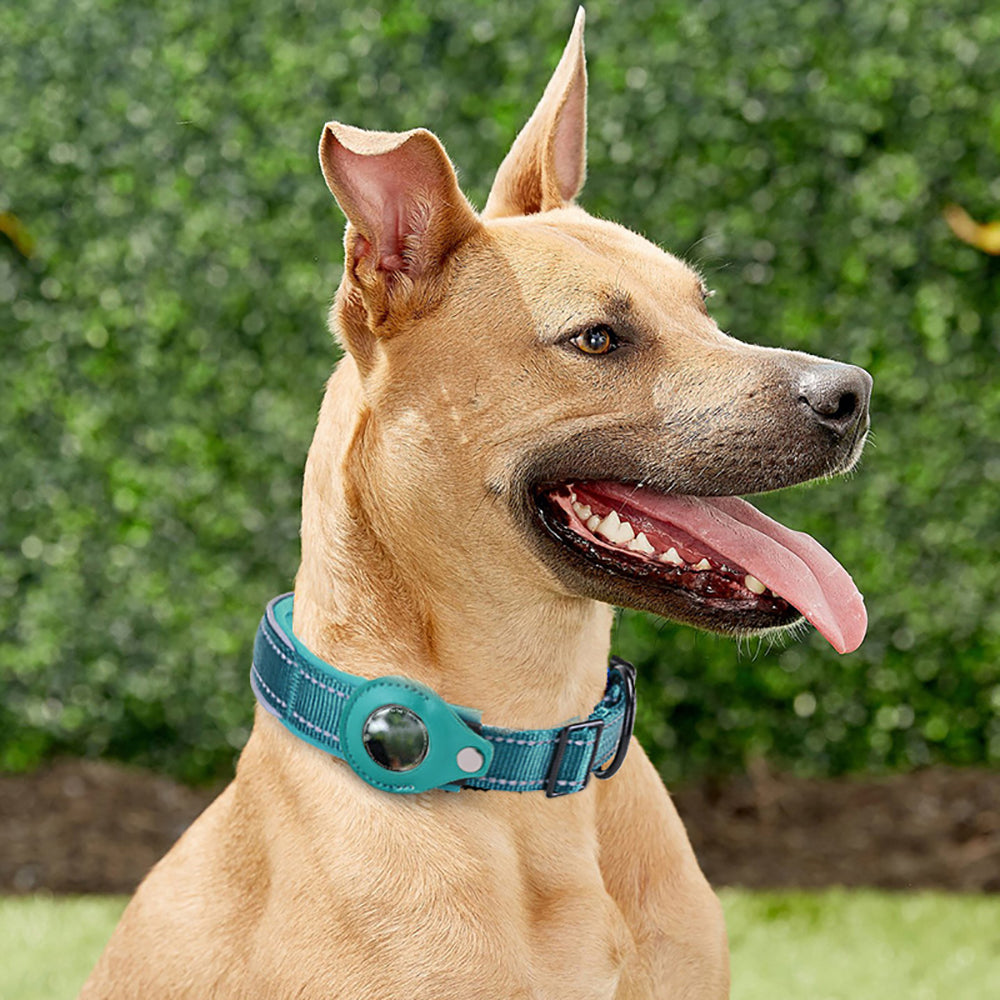 Anti-Lost Pet Positioning Collar for The Apple Airtag Protective Tracker_13